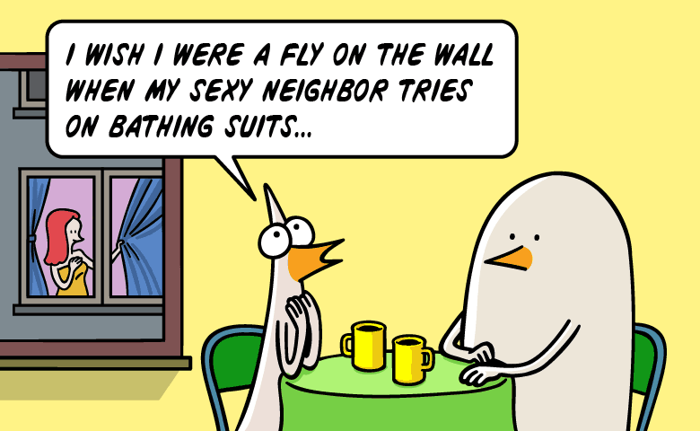 I wish I were a fly on the wall when my neighbor tries on bathing suits.