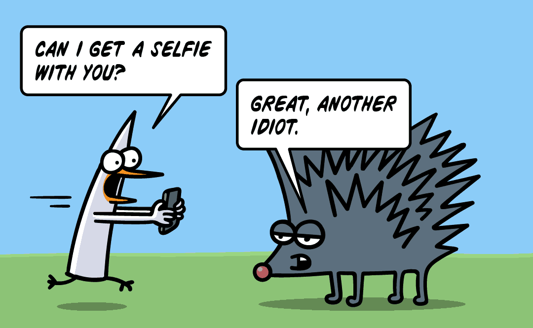 Pidjin tells a hedgehog he'd like a selfie with him. Hedgehog says 'Great, another idiot'